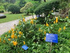 -中国科学院西双版纳热带植物园