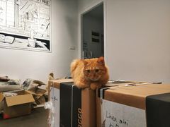 -Tempo Coffee(市二宮店)