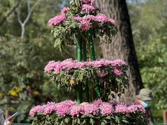 -国家植物园
