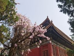 -北京国子监胡同