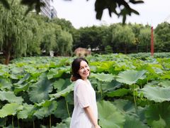 -陈家山荷花公园