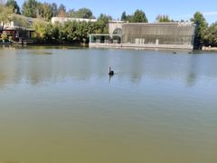 -春晖园度假酒店温泉