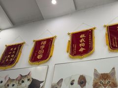 -爱侣宠医·鹦鹉专科·小型哺乳类·异宠专科(灵石路店)