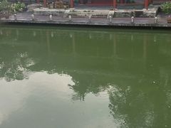 -珠海圆明新园