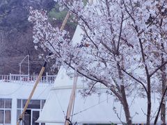 -幕燕滨江·长江观音景区