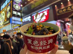 -黑色经典臭豆腐·湖南特产(坡子街店)