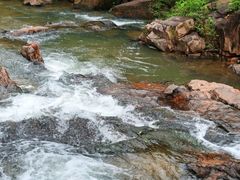 -广州白江湖森林公园