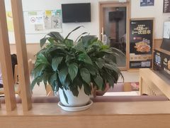 -德克士(茶店子客运站店)