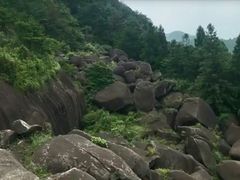 -玉苍山国家森林公园