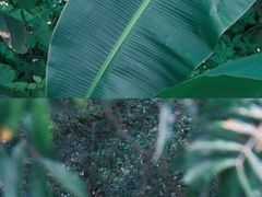 -福道