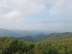 -莫干山风景区