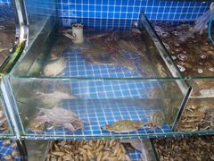-蟹谢蒸鲜自助餐厅