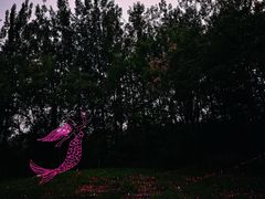 -顺鑫绿色度假村