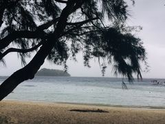 -东姑阿都拉曼海洋公园