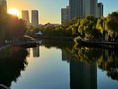 -三里屯东五街银杏大道