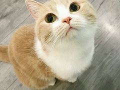 -一笼小幸运