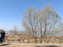 -黄河花园口旅游区