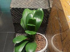 -黔蘑菇四季餐厅(观山湖店)