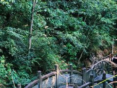 -遂昌金矿国家矿山公园