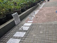 -南京大牌档(人民广场店)