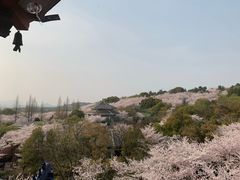 -甜品星球