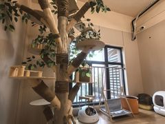 -唐小姐の私宠·宠物洗护美容·撸猫馆·购宠(周浦万达旗舰店)