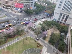 -广州花园酒店