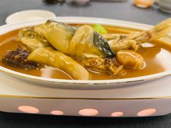 -沈灶河豚宴·河豚融合餐厅(汉中路店)