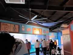 -海合安武汉极地海洋公园