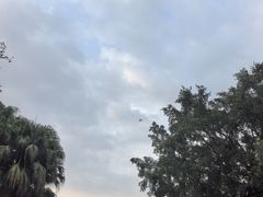 -观澜湖生态运动公社