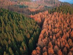 -山王坪喀斯特国家生态公园
