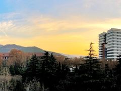 -山东大学(千佛山校区)