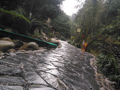 -明月山天沐温泉度假村