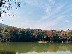 -白马涧龙池景区