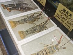 水产区-蚝得喜海鲜(东城店)