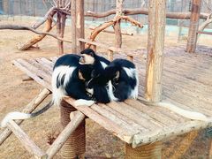 -济南野生动物世界