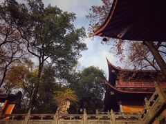 -灵隐飞来峰景区