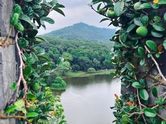 -南京城墙景区