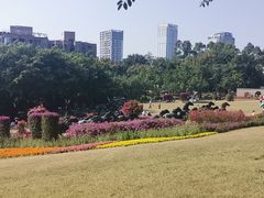 -广州雕塑公园
