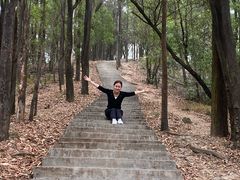 -滴水岩森林公园