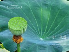 -四川大学(华西校区)