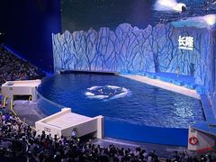 -珠海长隆海洋王国