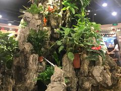 -丰圆轩粤式茶楼 . 点心粤菜(夏茅店)