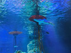 -沈阳海洋探索中心