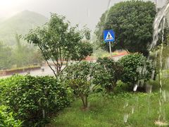 -莫干山风景区