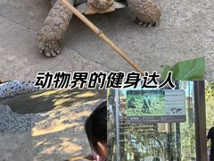 -石家庄市动物园