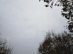 -西南交通大学(九里校区)