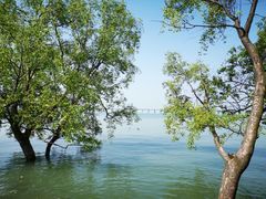 -宝安西湾红树林湿地公园