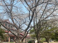 -浙江省博物馆(孤山馆区)