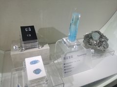 -安徽省地质博物馆